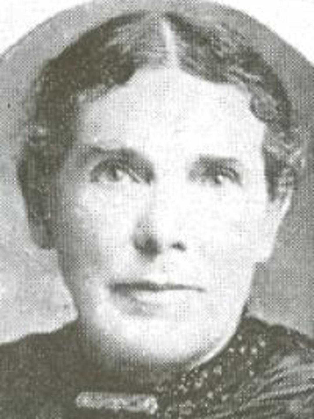 Lovisa Jenne (1832 - 1917) Profile